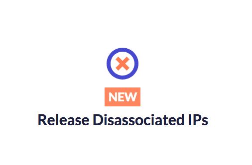 Release Disassociated Elastic IPs Icon